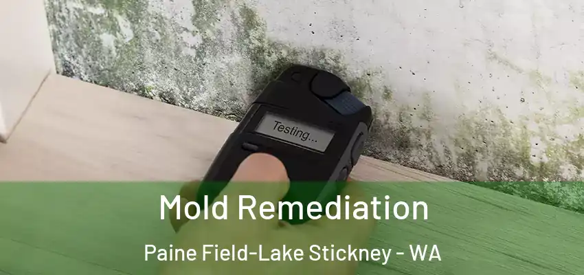  Mold Remediation Paine Field-Lake Stickney - WA