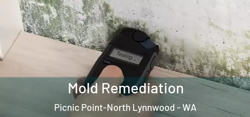 Mold Remediation Picnic Point-North Lynnwood - WA