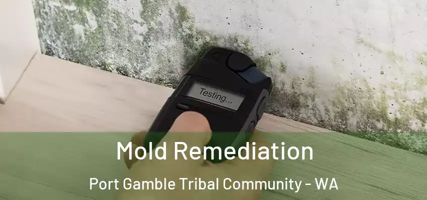 Mold Remediation Port Gamble Tribal Community - WA