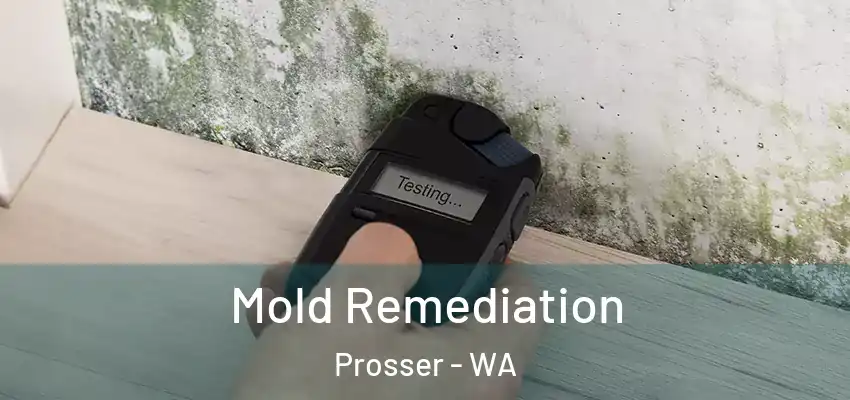  Mold Remediation Prosser - WA