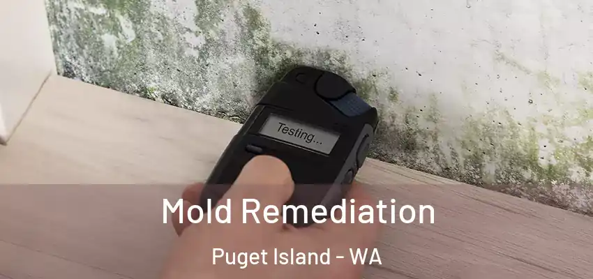  Mold Remediation Puget Island - WA