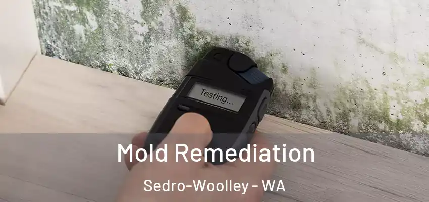 Mold Remediation Sedro-Woolley - WA