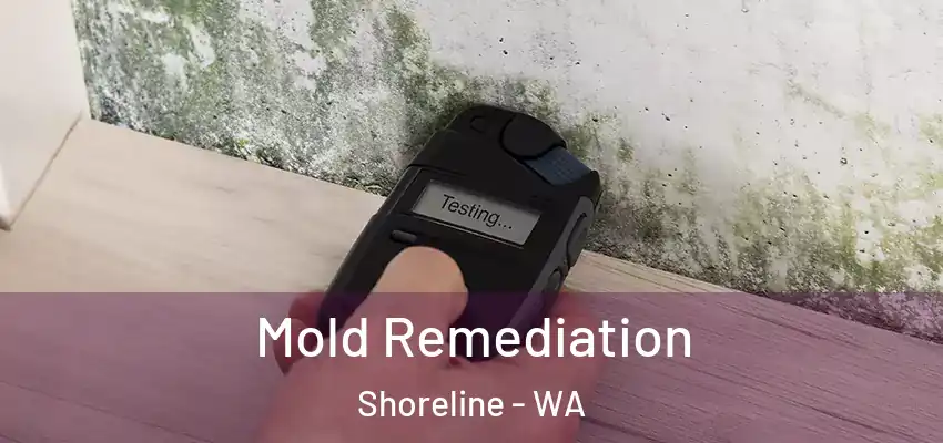  Mold Remediation Shoreline - WA
