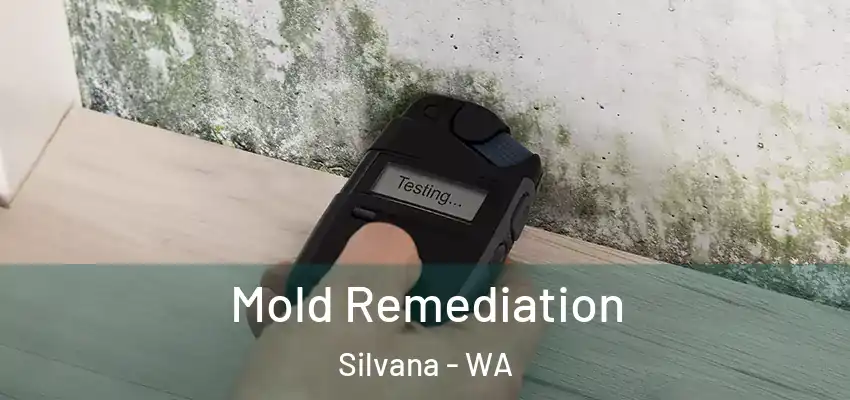  Mold Remediation Silvana - WA