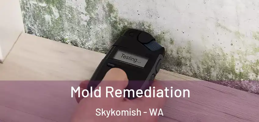  Mold Remediation Skykomish - WA