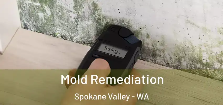  Mold Remediation Spokane Valley - WA