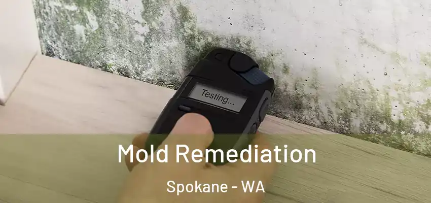  Mold Remediation Spokane - WA