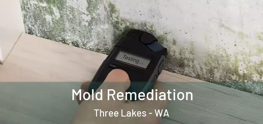  Mold Remediation Three Lakes - WA