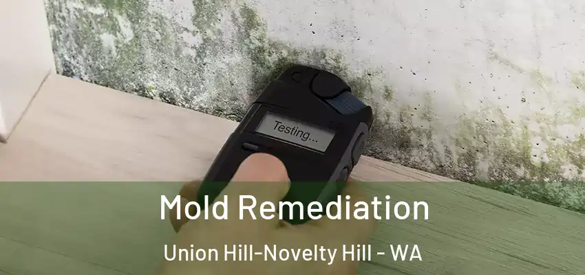  Mold Remediation Union Hill-Novelty Hill - WA