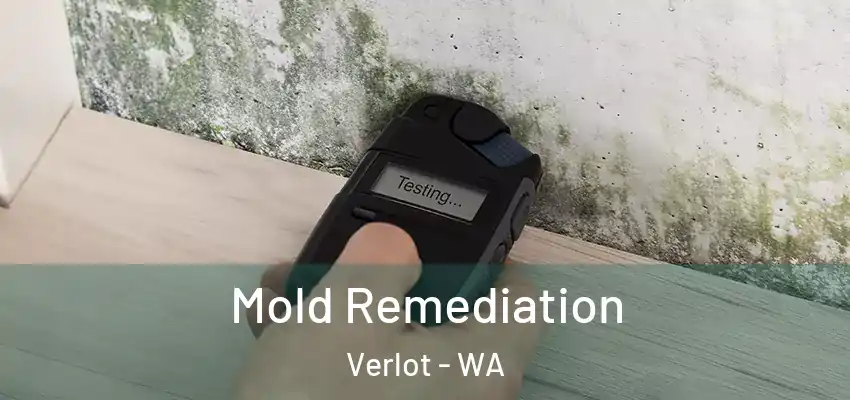 Mold Remediation Verlot - WA