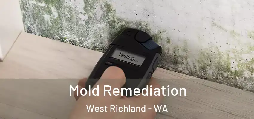  Mold Remediation West Richland - WA
