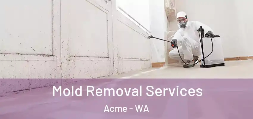  Mold Removal Services Acme - WA