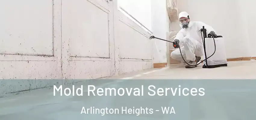 Mold Removal Services Arlington Heights - WA