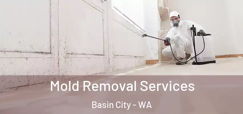  Mold Removal Services Basin City - WA