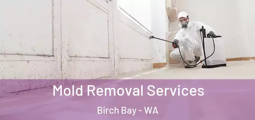  Mold Removal Services Birch Bay - WA
