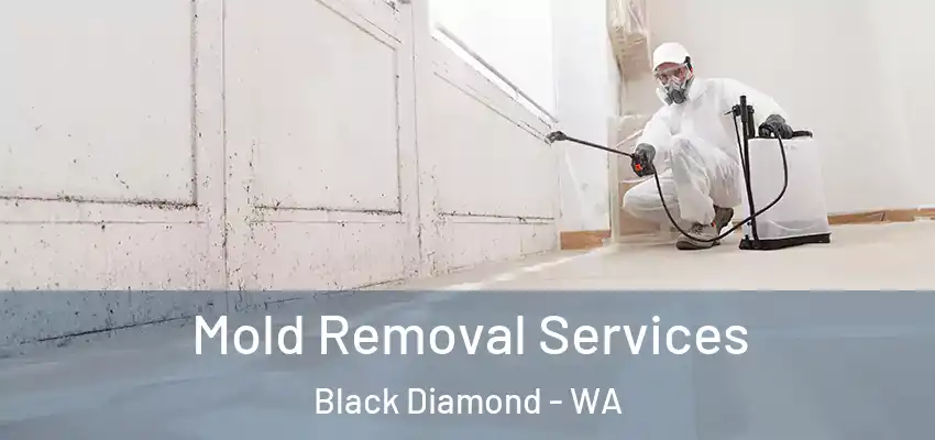  Mold Removal Services Black Diamond - WA