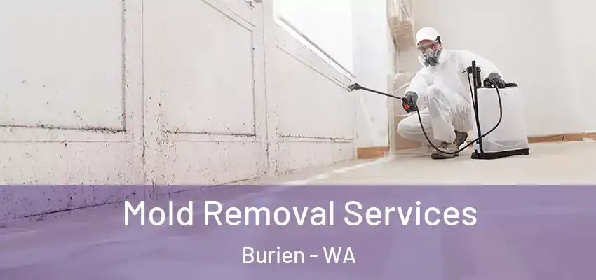  Mold Removal Services Burien - WA