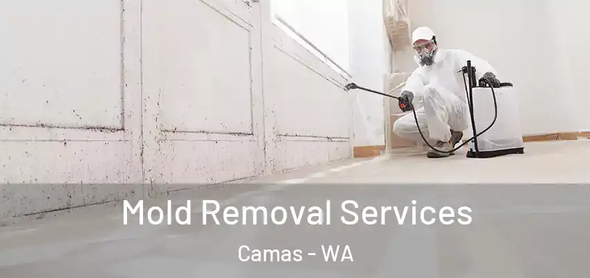  Mold Removal Services Camas - WA