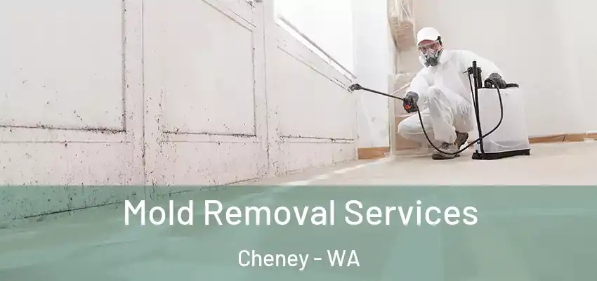  Mold Removal Services Cheney - WA