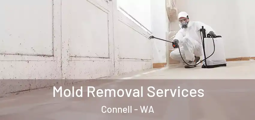  Mold Removal Services Connell - WA