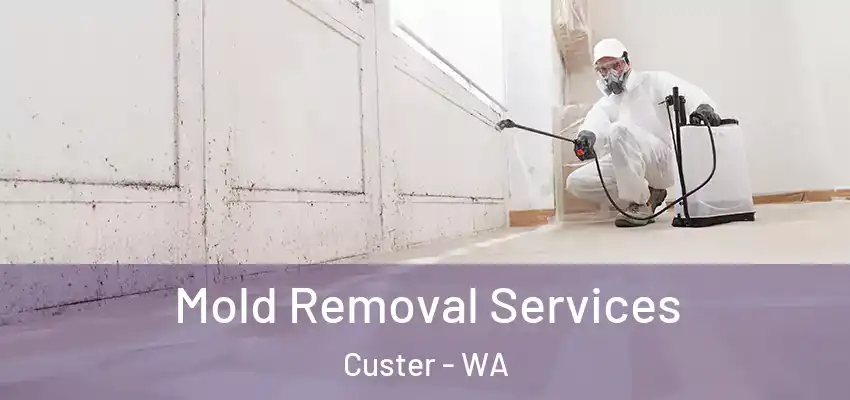  Mold Removal Services Custer - WA
