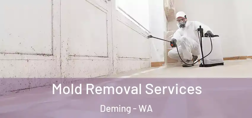  Mold Removal Services Deming - WA