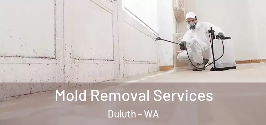  Mold Removal Services Duluth - WA
