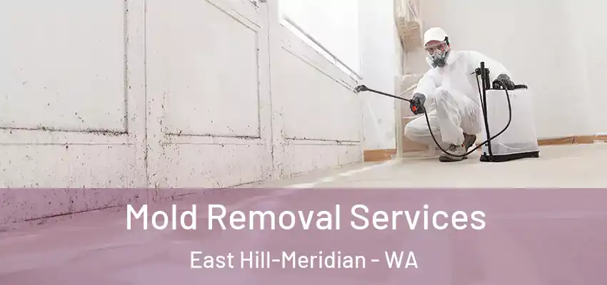  Mold Removal Services East Hill-Meridian - WA