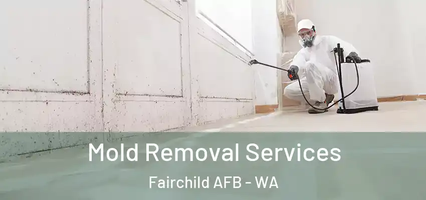 Mold Removal Services Fairchild AFB - WA