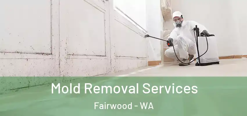  Mold Removal Services Fairwood - WA