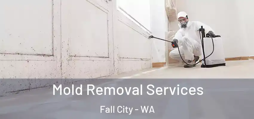  Mold Removal Services Fall City - WA