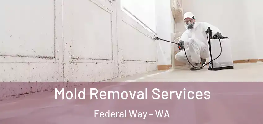  Mold Removal Services Federal Way - WA