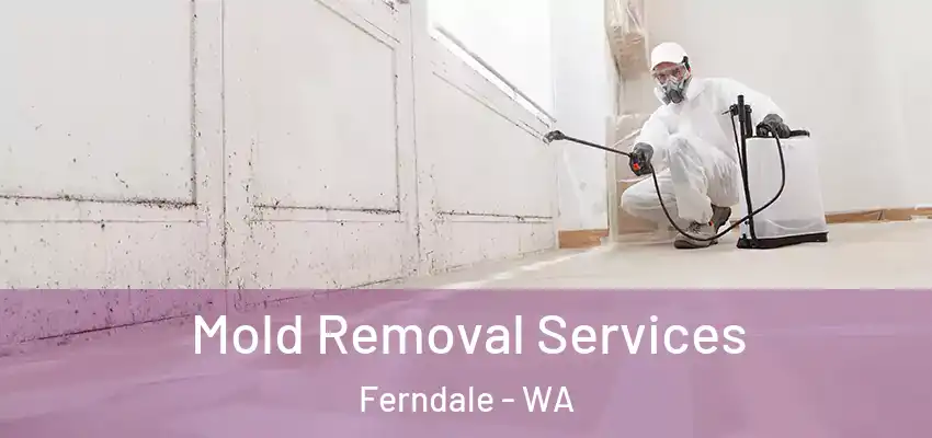  Mold Removal Services Ferndale - WA