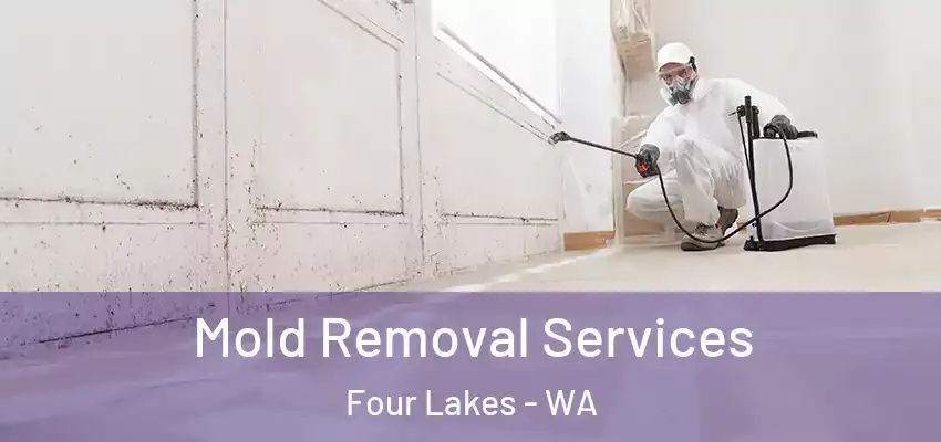  Mold Removal Services Four Lakes - WA