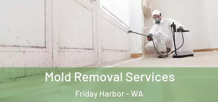  Mold Removal Services Friday Harbor - WA