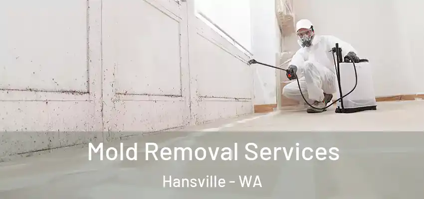  Mold Removal Services Hansville - WA