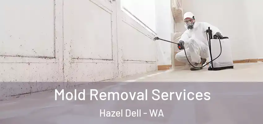  Mold Removal Services Hazel Dell - WA
