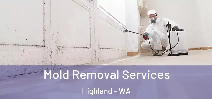  Mold Removal Services Highland - WA