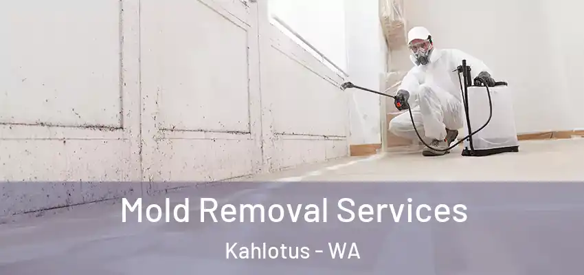  Mold Removal Services Kahlotus - WA