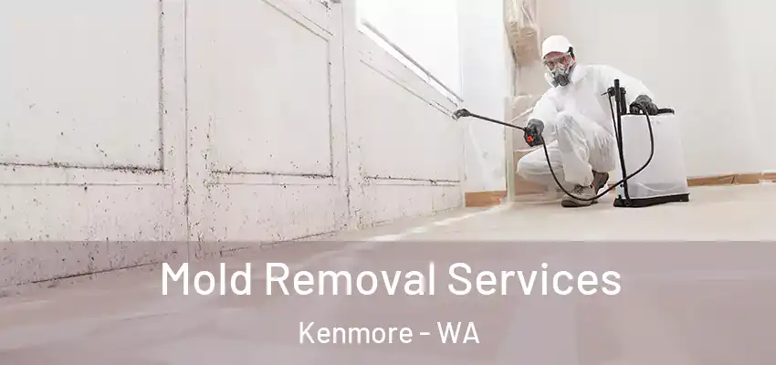  Mold Removal Services Kenmore - WA