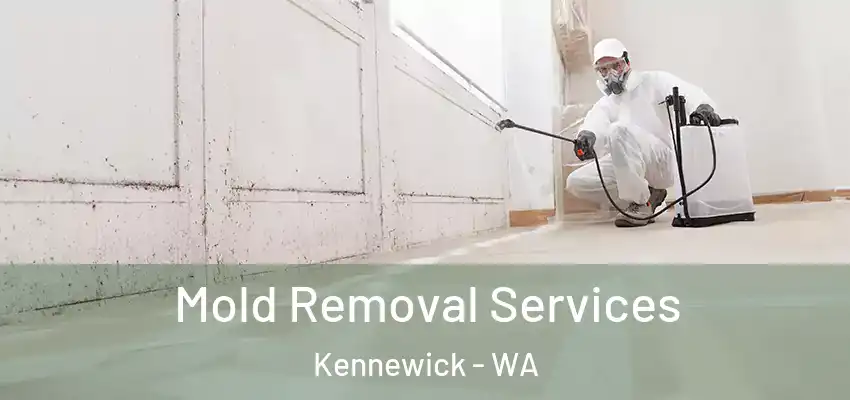  Mold Removal Services Kennewick - WA