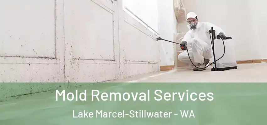  Mold Removal Services Lake Marcel-Stillwater - WA