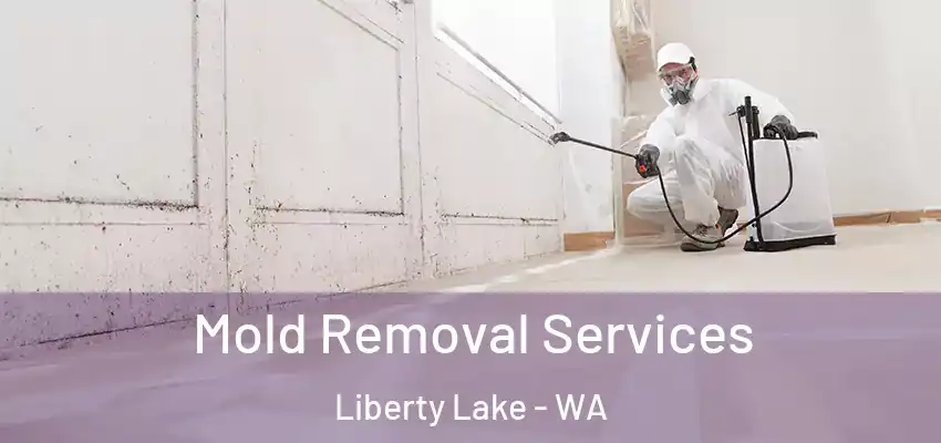 Mold Removal Services Liberty Lake - WA