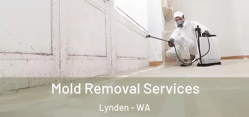  Mold Removal Services Lynden - WA