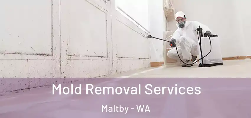  Mold Removal Services Maltby - WA