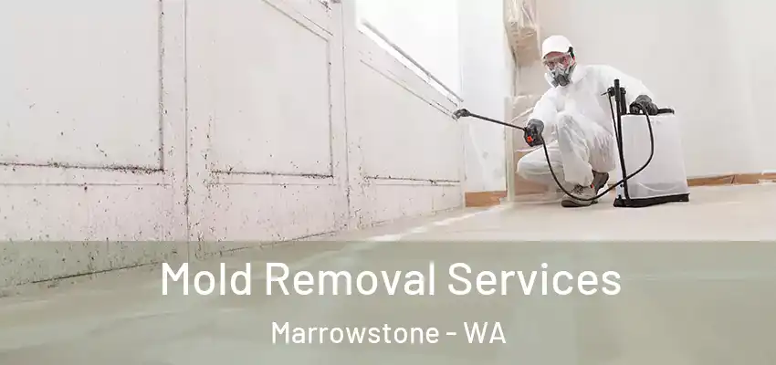  Mold Removal Services Marrowstone - WA