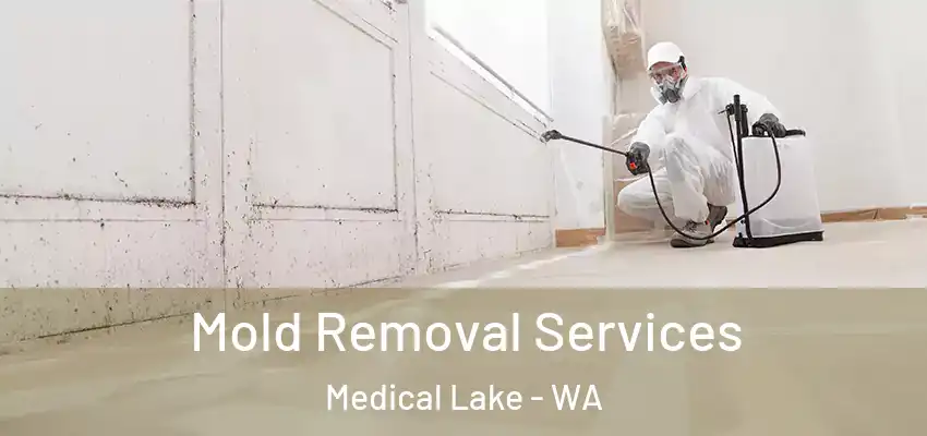  Mold Removal Services Medical Lake - WA
