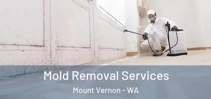  Mold Removal Services Mount Vernon - WA