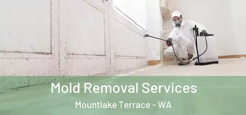  Mold Removal Services Mountlake Terrace - WA