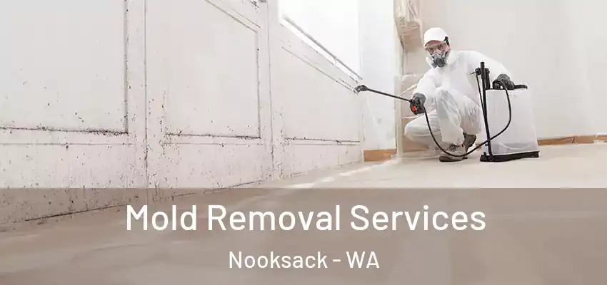 Mold Removal Services Nooksack - WA